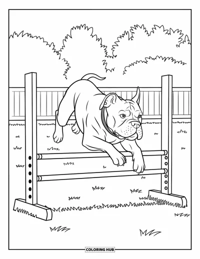 Coloriage de Pitbull pour enfants : Un pitbull dans un harnais saute par-dessus une haie d’agilité avec des arbres derrière
