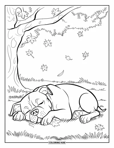 Coloriage de Pitbull pour enfants : Un pitbull est allongé sous un arbre tandis que des feuilles tombent doucement autour de lui