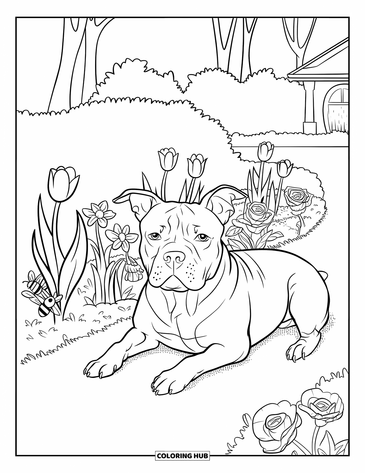 Dibujo para colorear de Pitbull para niños: Un pitbull duerme junto a tulipanes y rosas mientras las mariposas revolotean cerca