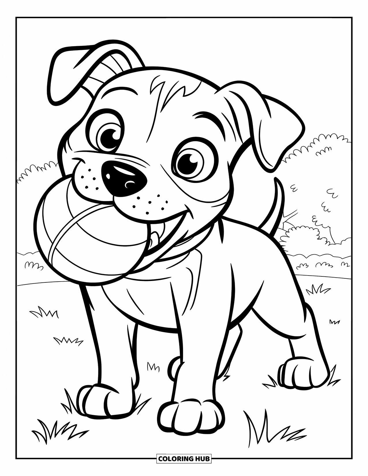 Dibujo para colorear de Pitbull para niños: Un cachorro de pitbull sostiene una pelota en su boca mientras está de pie sobre el césped