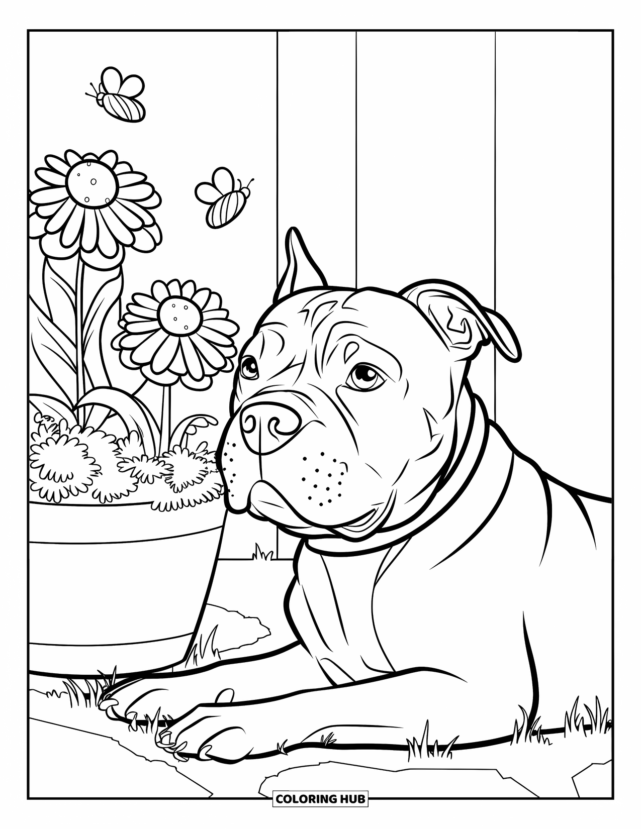 Dibujo para colorear de Pitbull para niños: Un pitbull se relaja junto a una maceta de flores con abejas y mariposas cerca