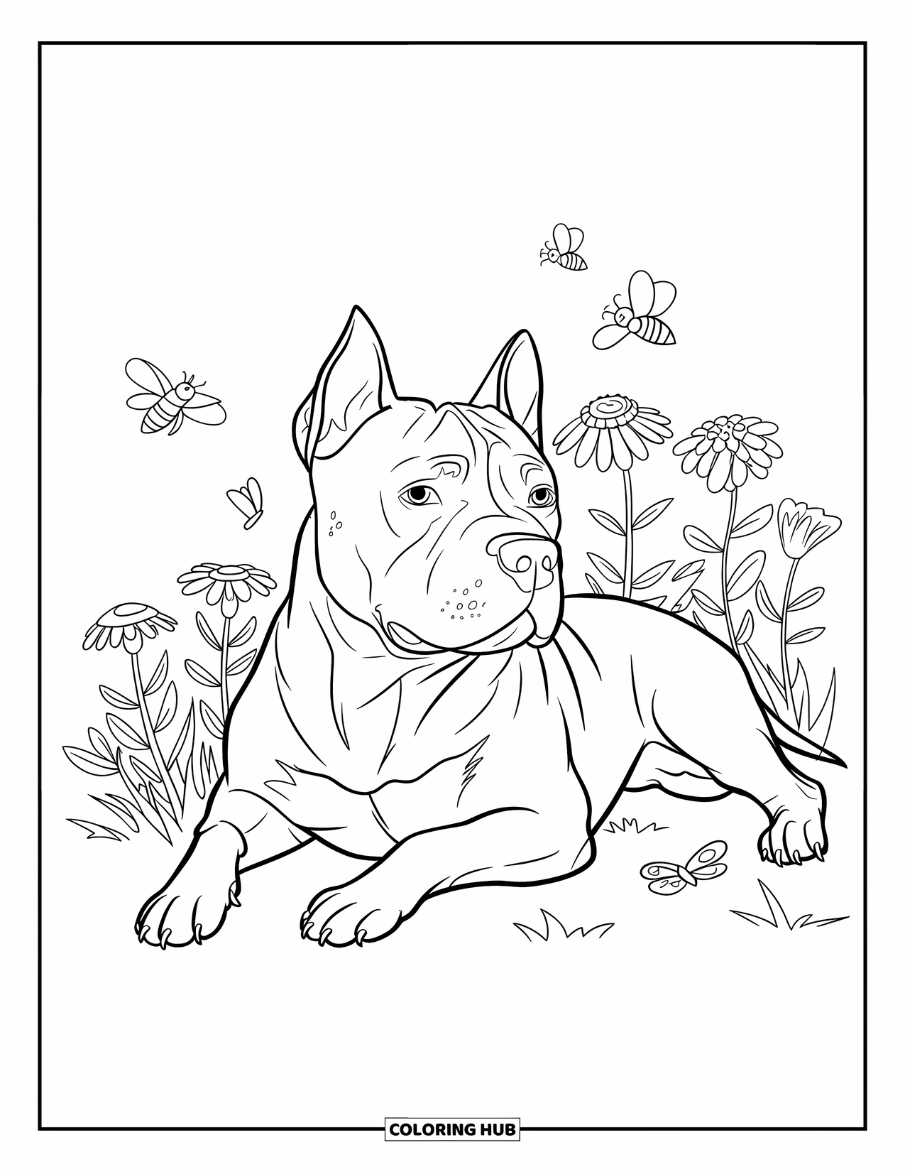 Dibujo para colorear de Pitbull para niños: Un pitbull descansa cerca de un macizo de flores con mariposas y abejas zumbando