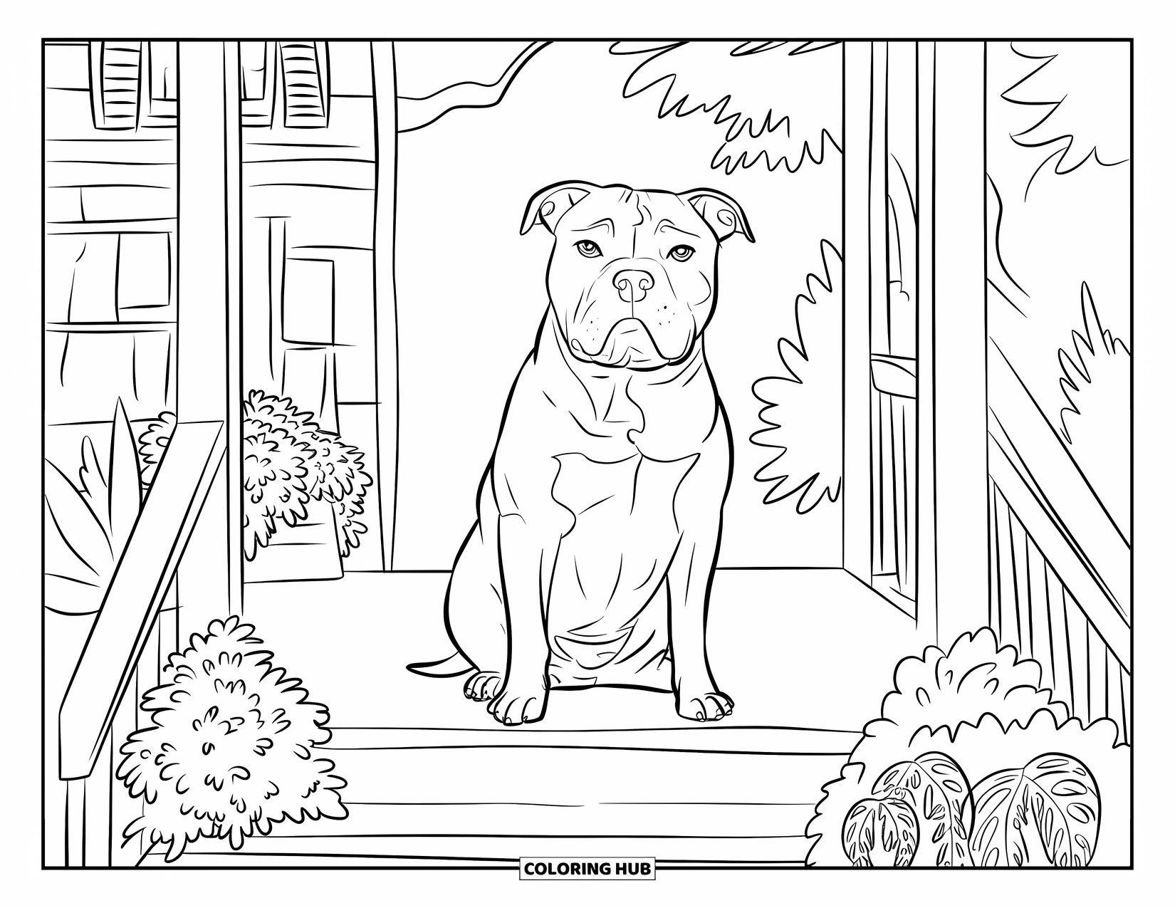 Dibujo para colorear de Pitbull para niños: Un pitbull se sienta en un porche de madera rodeado de plantas y flores