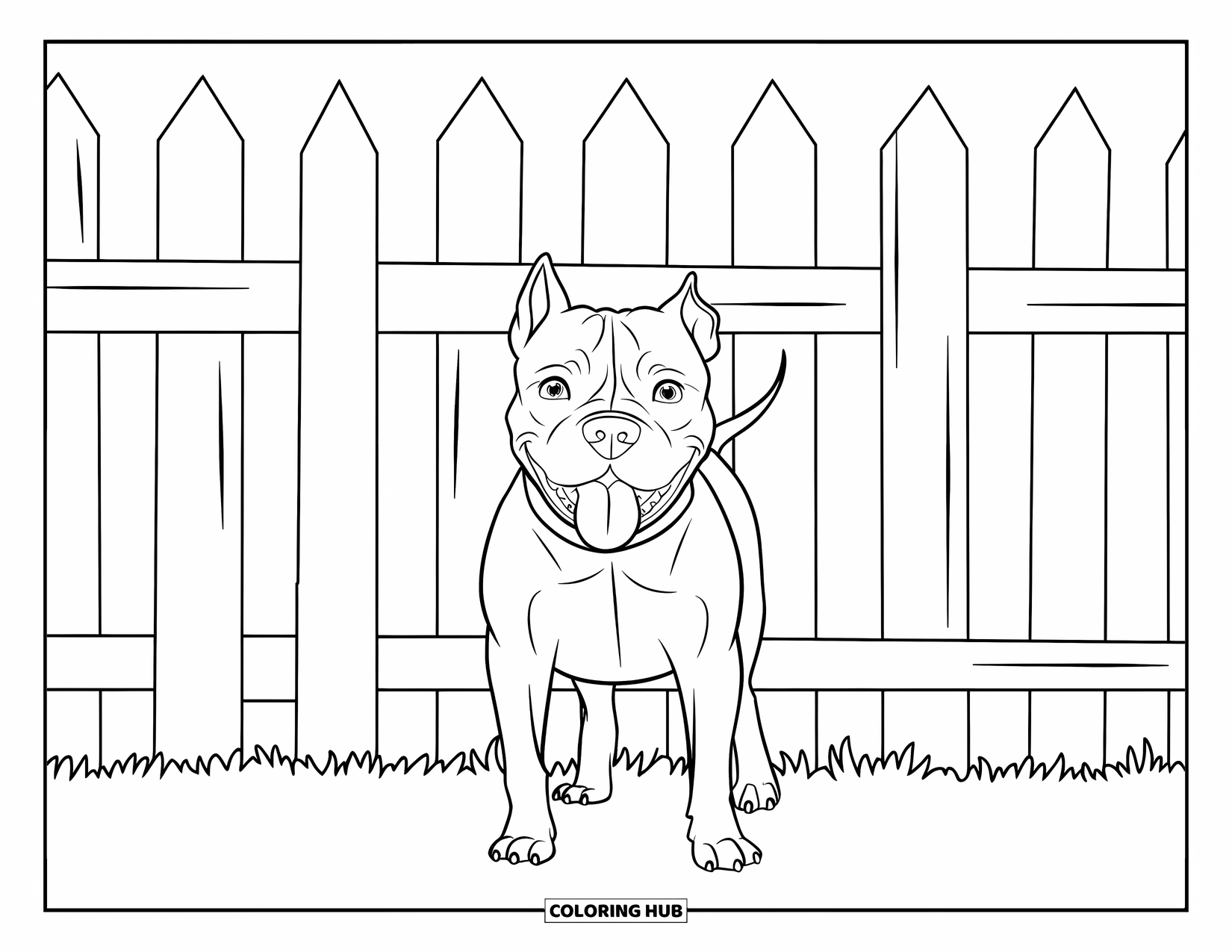 Dibujo para colorear de Pitbull para niños: Un pitbull sonríe frente a una cerca de piquete en un césped soleado