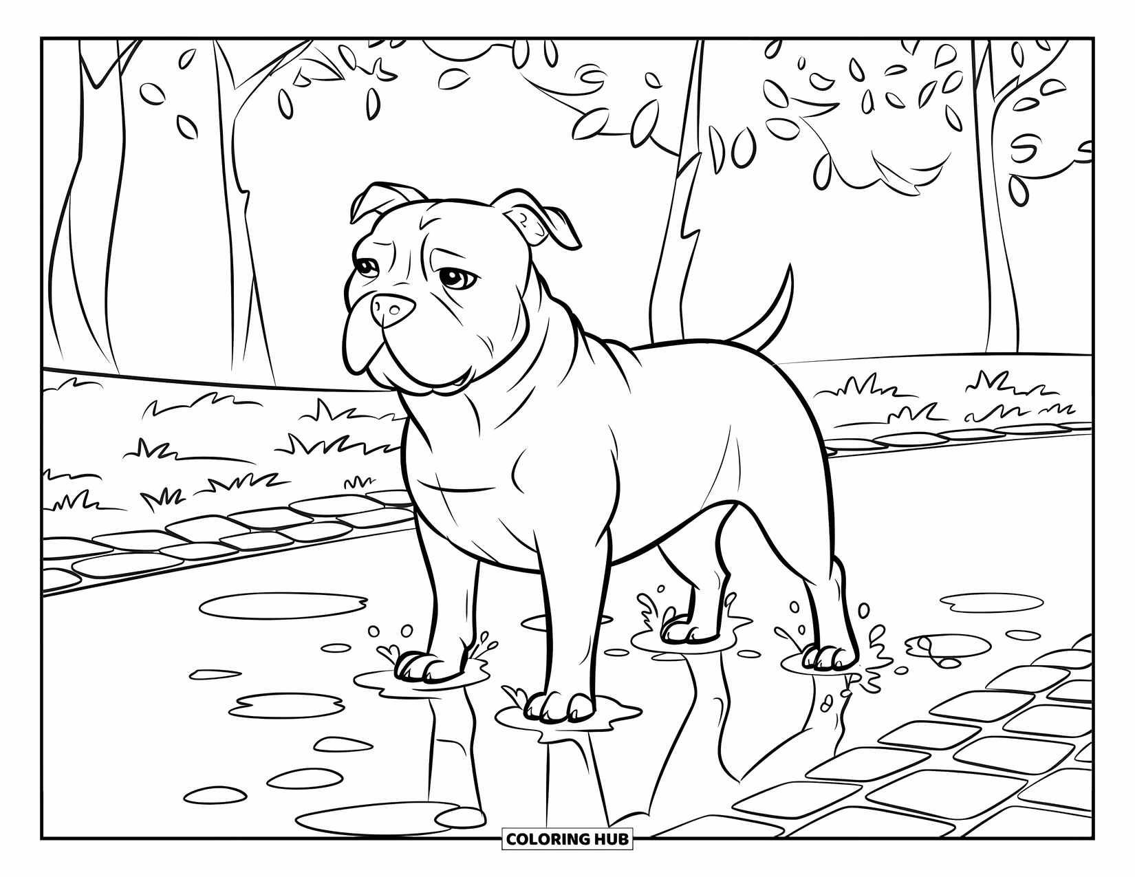 Dibujo para colorear de Pitbull para niños: Un pitbull salpica en un charco en un camino de adoquines después de la lluvia
