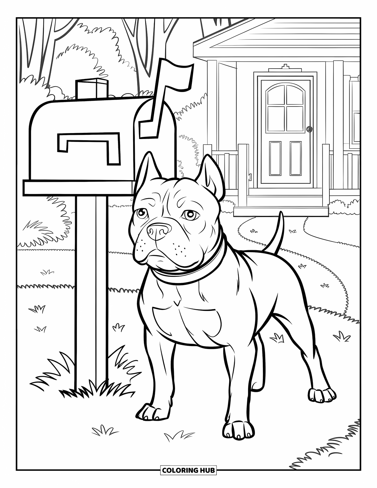 Dibujo para colorear de Pitbull para niños: Un pitbull está de pie alerta junto a un buzón rojo frente a una casa acogedora
