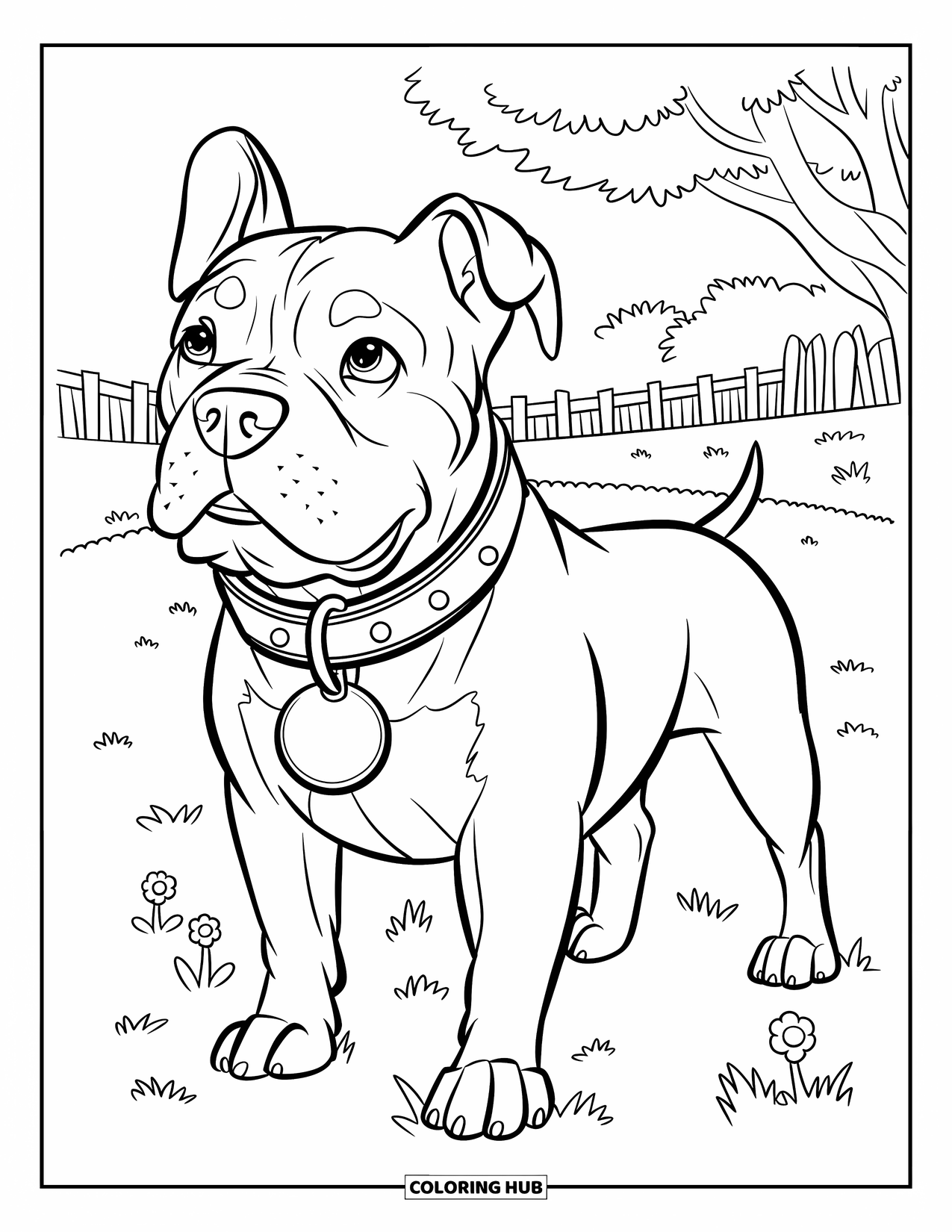 Dibujo para colorear de Pitbull para niños: Un pitbull está de pie orgullosamente en un campo cubierto de hierba con flores y una cerca