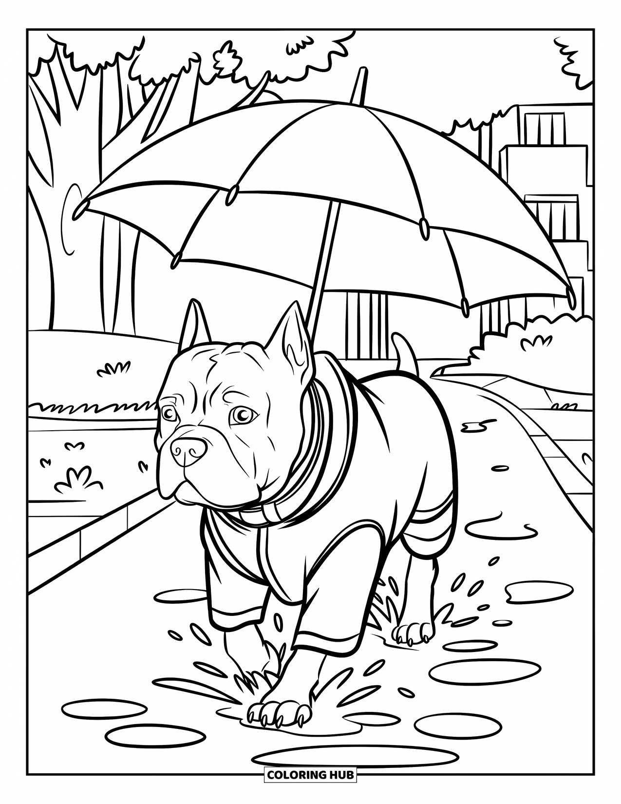Dibujo para colorear de Pitbull para niños: Un pitbull pasea por charcos con un abrigo con árboles y edificios alrededor