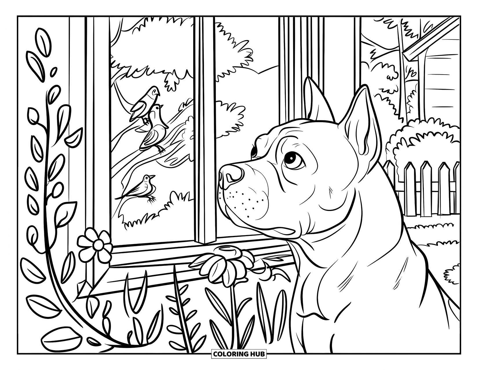 Dibujo para colorear de Pitbull para niños: Un pitbull observa aves a través de una ventana llena de flores desde el interior de una casa