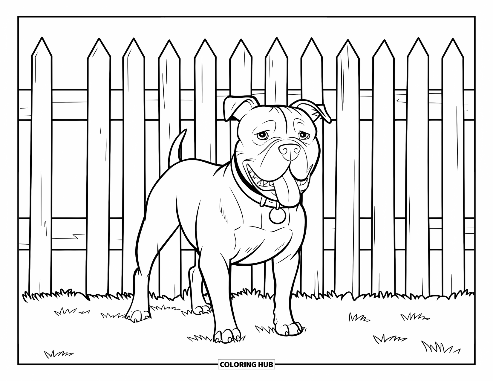 Dibujo para colorear de Pitbull para niños: Un pitbull con una cabeza grande mueve su cola cerca de una cerca vieja y irregular