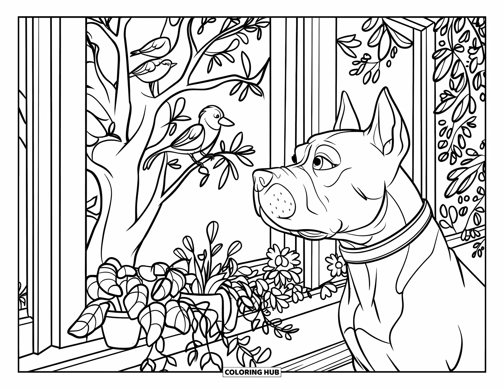 Dibujo para colorear de Pitbull para niños: Un pitbull con un collar está de pie sobre un piso de madera, observando aves afuera