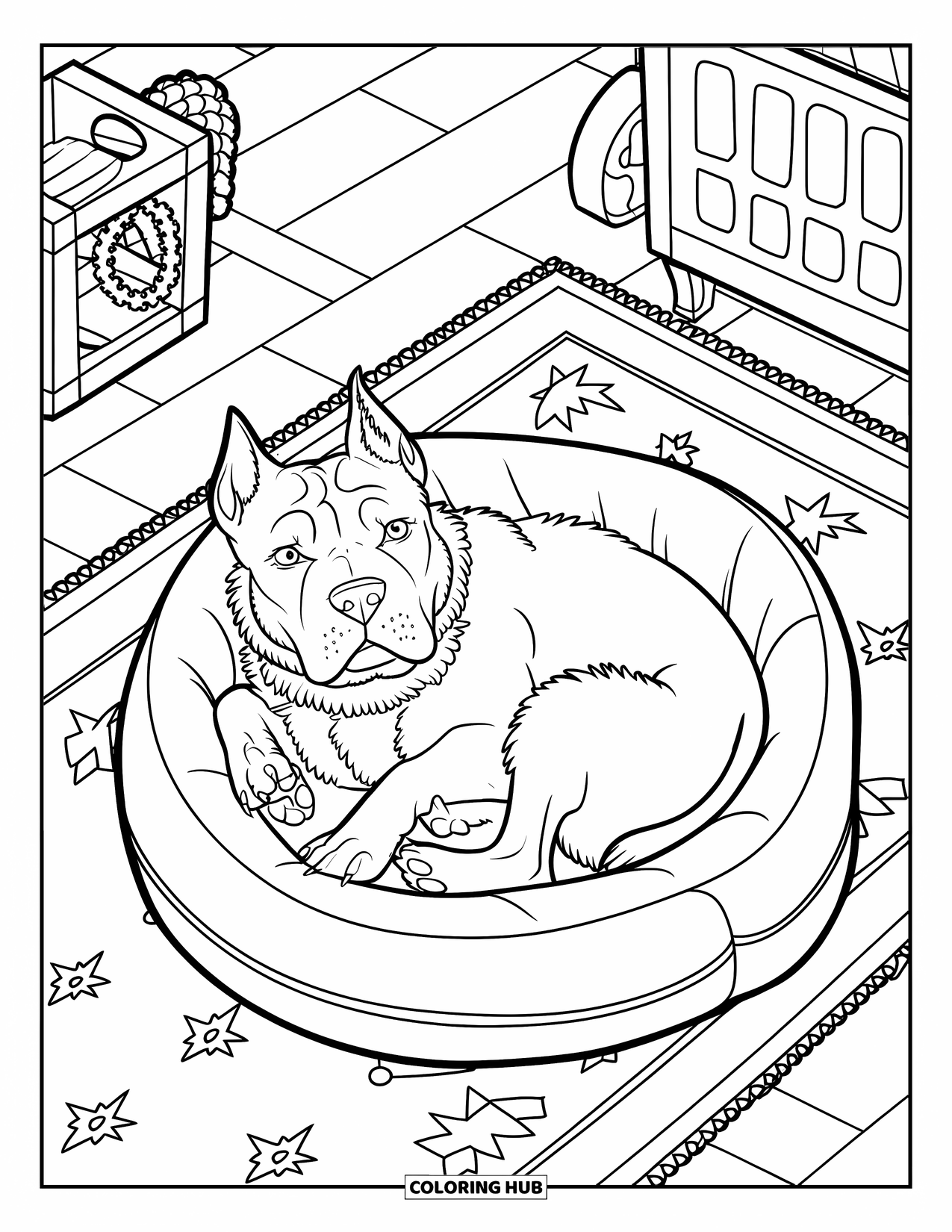 Dibujo para colorear de Pitbull para niños: Un pitbull con un collar rojo se acurruca en una cama junto a juguetes y una jaula