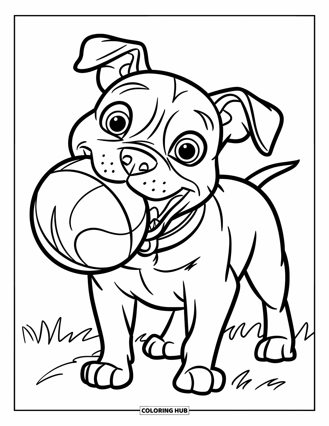 Dibujo para colorear de Pitbull para niños: Un pitbull con ojos brillantes sonríe mientras sostiene una pelota en un campo vacío