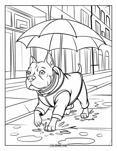 Coloriage de Pitbull pour enfants : Promenade pluvieuse pour un pitbull en manteau sur les trottoirs de la ville