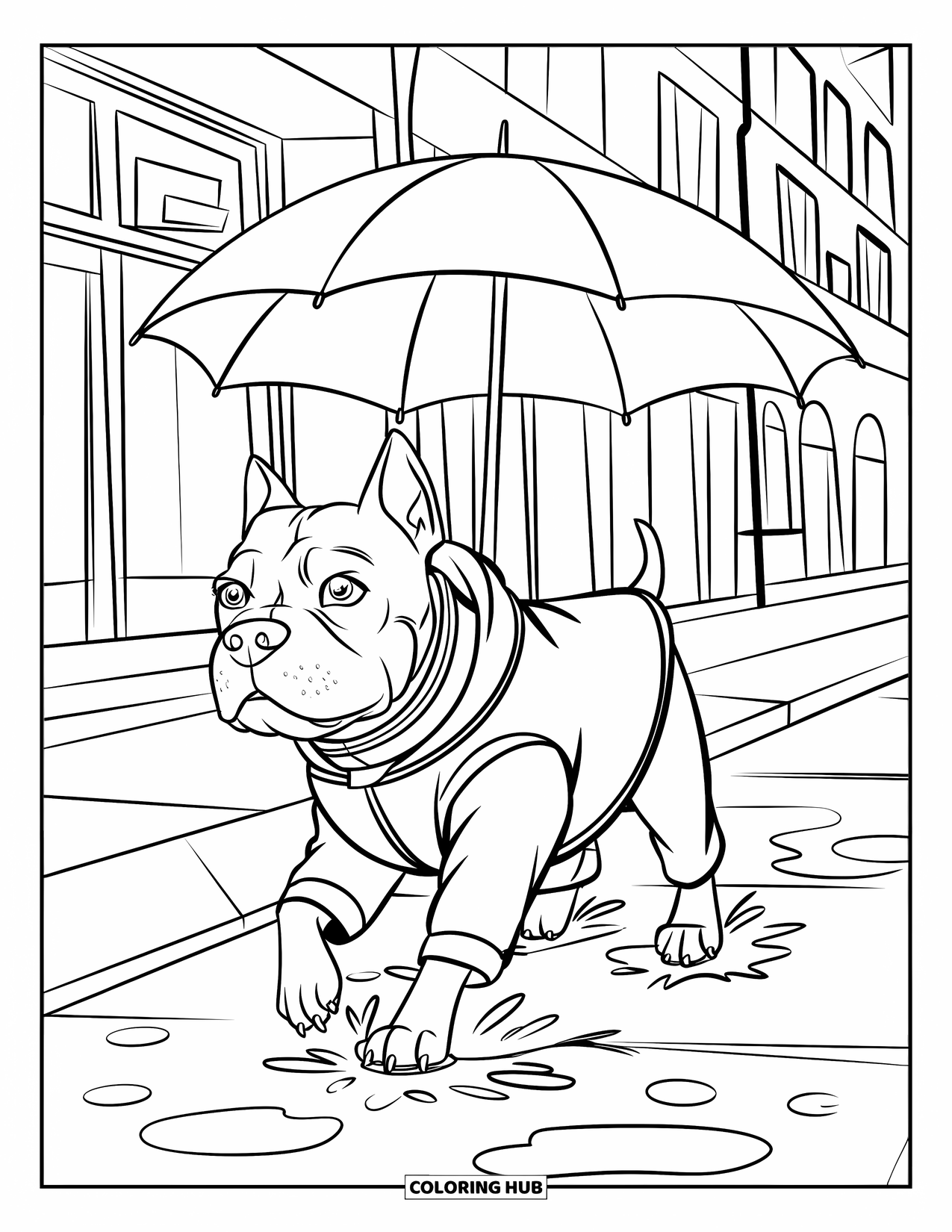 Dibujo para colorear de Pitbull para niños: Paseo en un día lluvioso para un pitbull con abrigo por las aceras de la ciudad