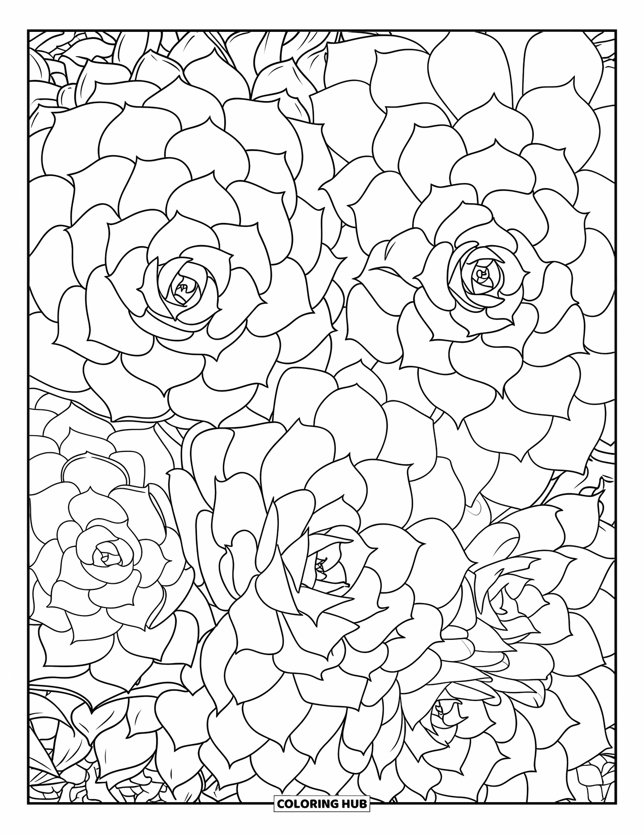 Dibujo de plantas para colorear para adultos: Una página completa de suculentas densamente empaquetadas con hojas redondeadas detalladas