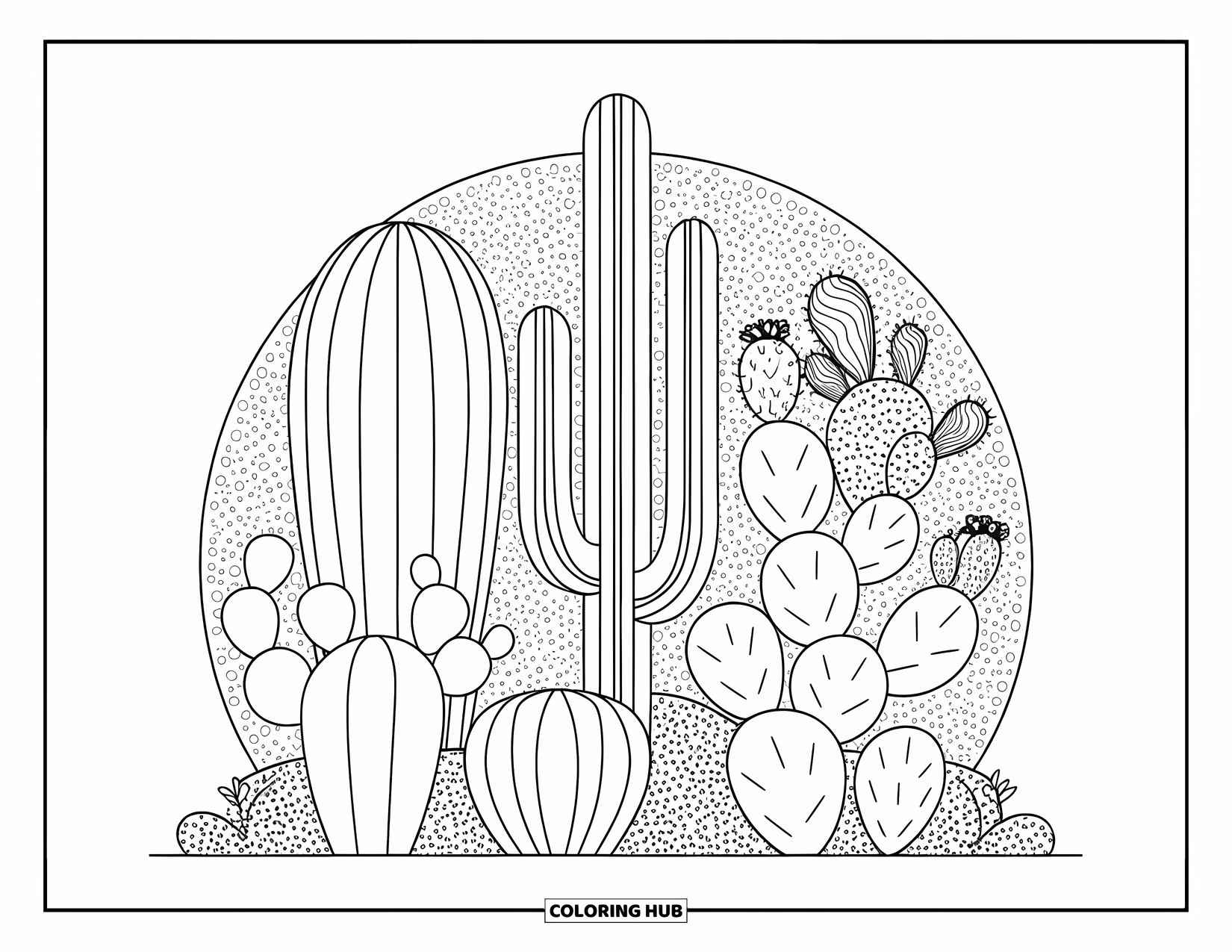 Dibujo de plantas para colorear para adultos: Una mezcla pacífica de cactus se alza alta sobre un fondo de guijarros punteados