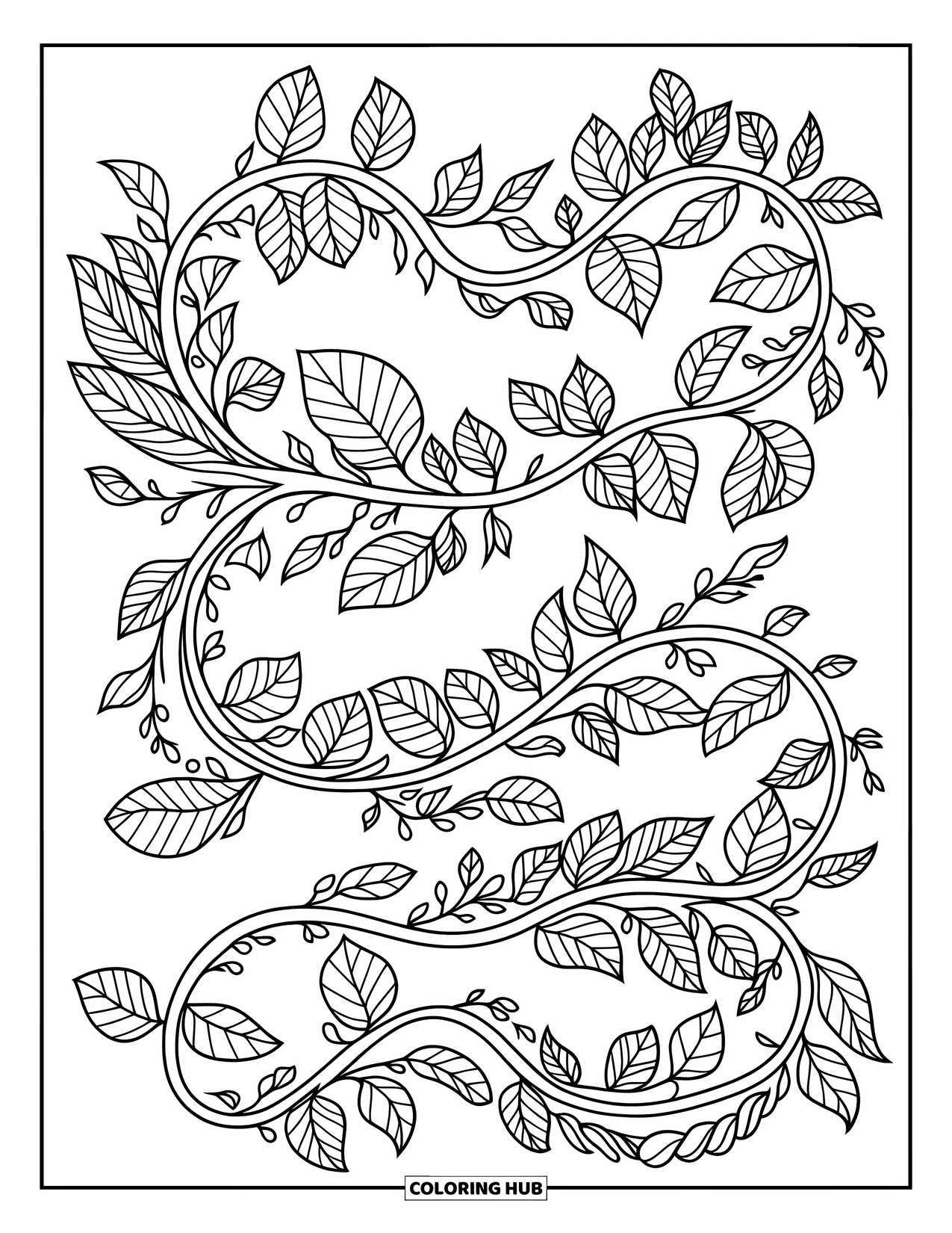 Dibujo de plantas para colorear para adultos: Una red sinuosa de enredaderas frondosas llena la página con detalles relajantes