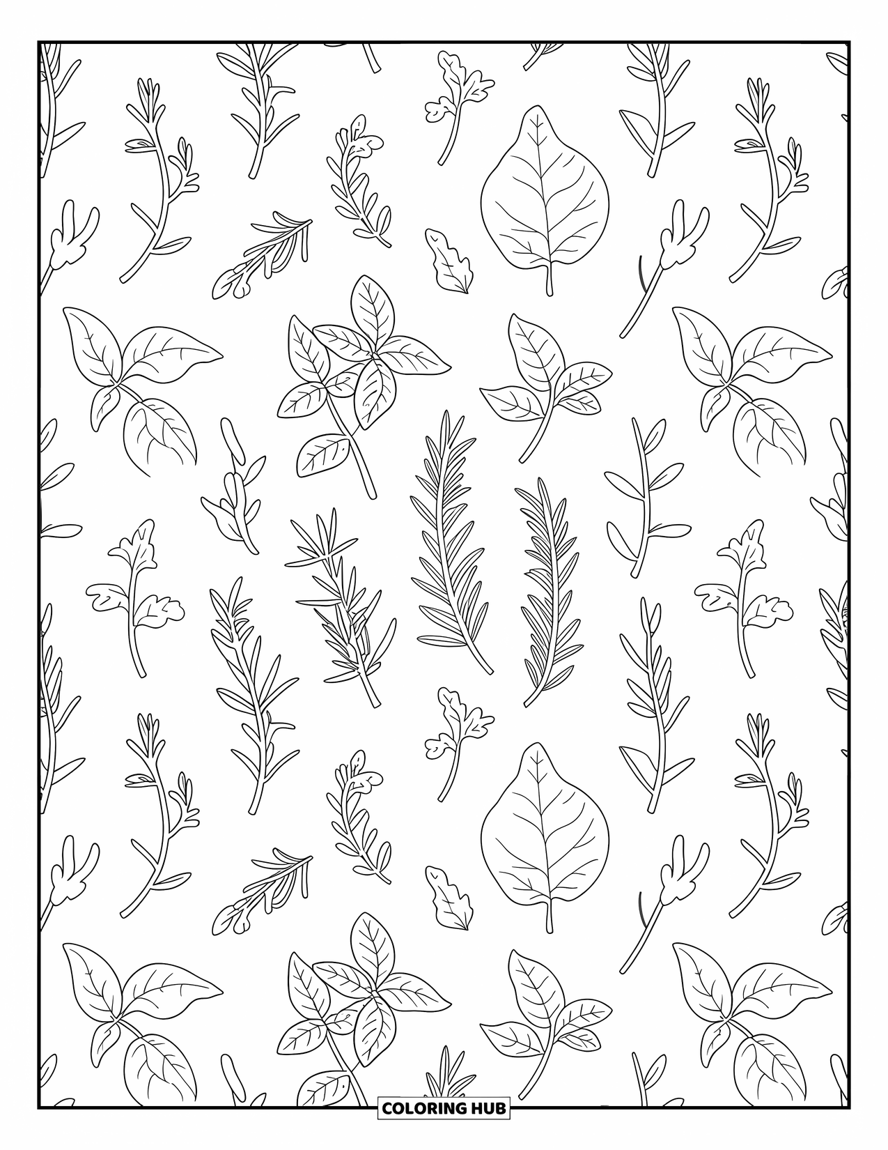 Dibujo de plantas para colorear para adultos: Bocetos alternados de hierbas llenan una cuadrícula con detalles relajantes