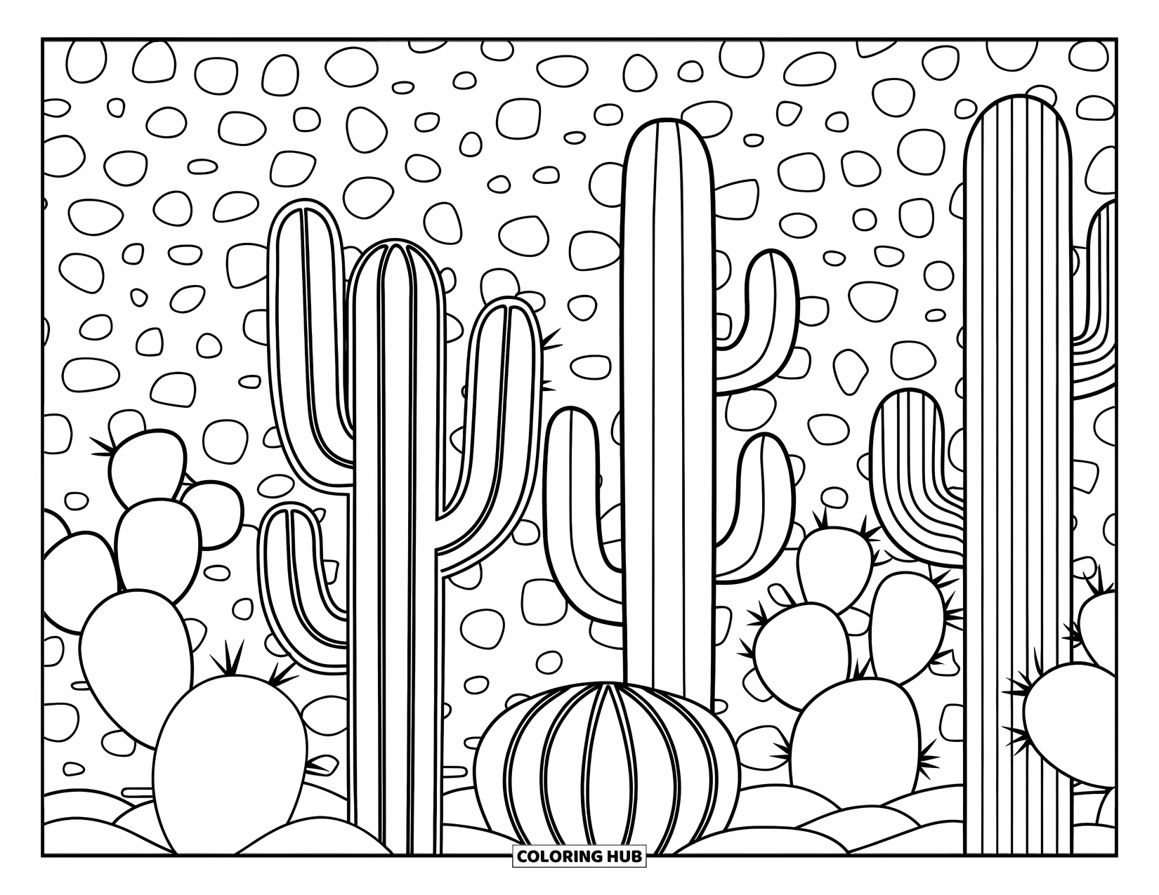 Dibujo de plantas para colorear para adultos: Cactus barril, saguaro y nopal llenan un fondo de pequeños guijarros dispersos