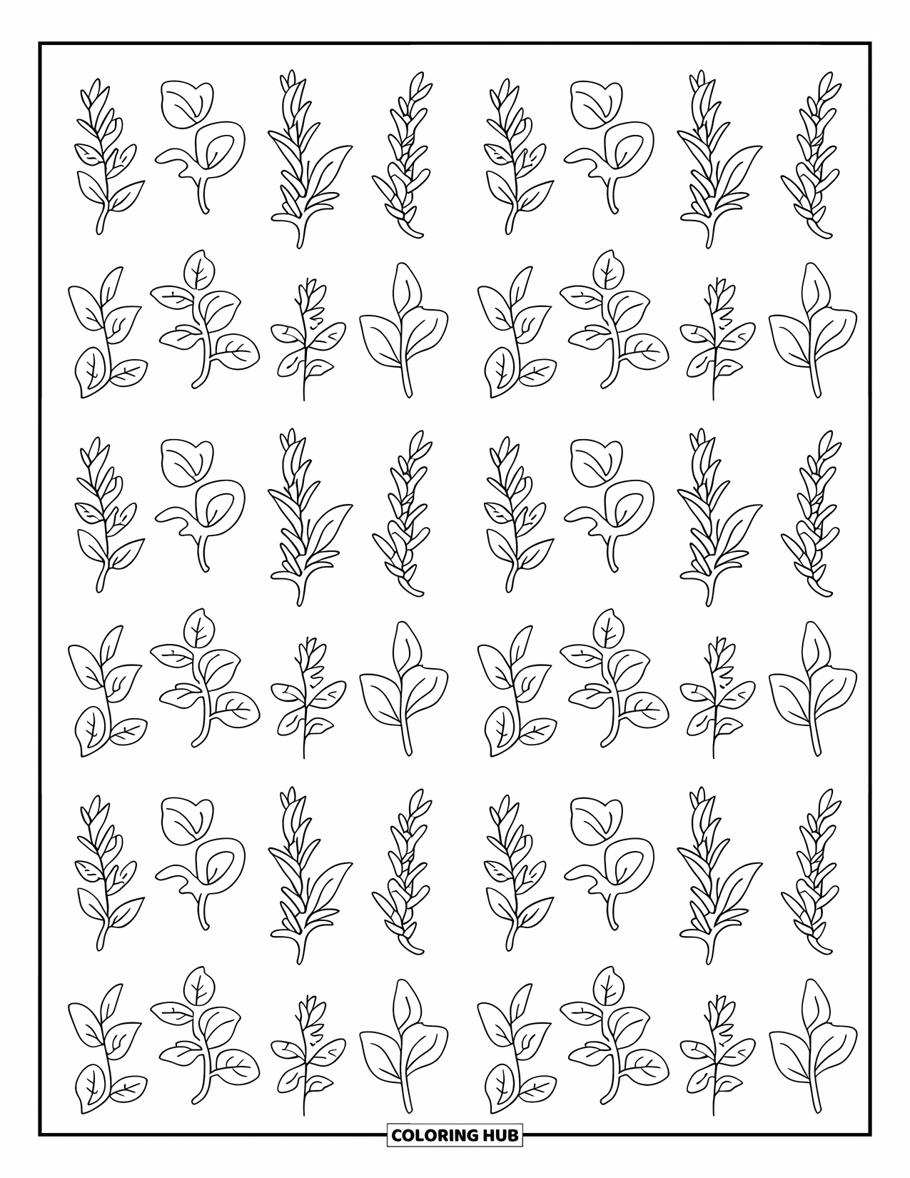 Dibujo de plantas para colorear para adultos: Hojas de hierbas como la albahaca y la menta forman un diseño de cuadrícula repetido y tranquilo