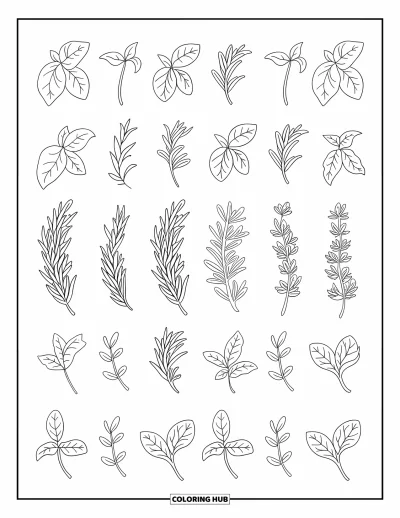 Plant Coloring Page for Adults: Herbs like basil and thyme repeat in a soft, balanced grid