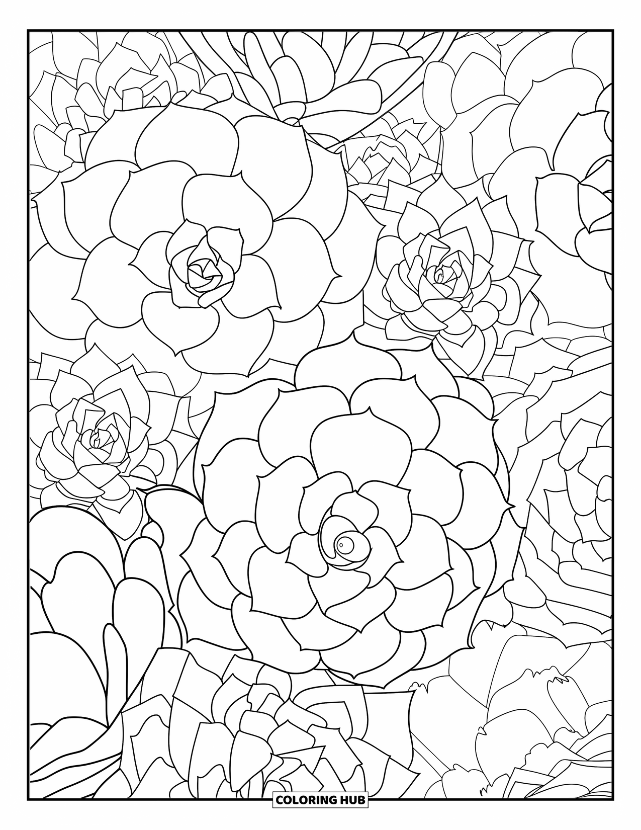 Dibujo de plantas para colorear para adultos: Suculentas en capas cubren la página con patrones pacíficos e intrincados