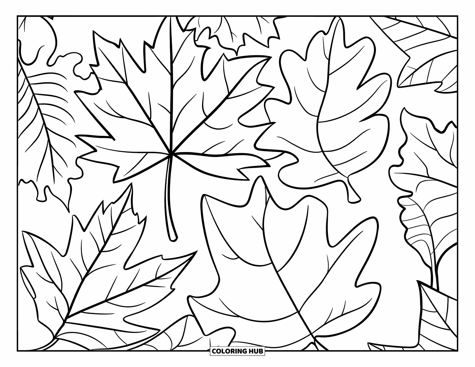 Dibujo de plantas para colorear para adultos: Hojas de arce, roble, plátano y ginkgo se repiten en capas suaves por toda la página