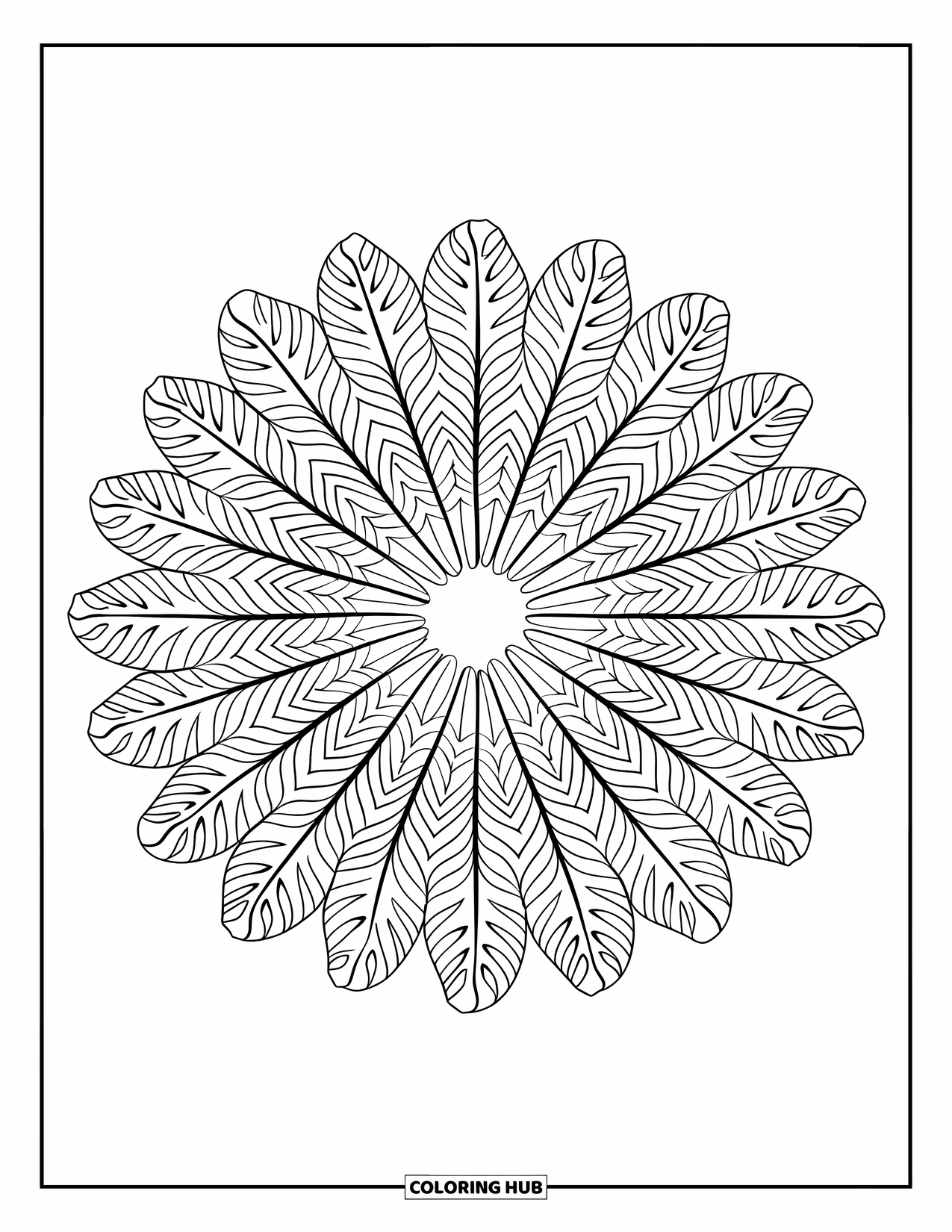 Dibujo de plantas para colorear para adultos: Hojas de monstera radiales forman un diseño de mandala audaz y equilibrado