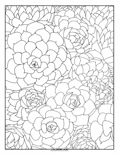 Plant Coloring Page for Adults: Succulent rosettes in many sizes fill the page with rounded leaf shapes