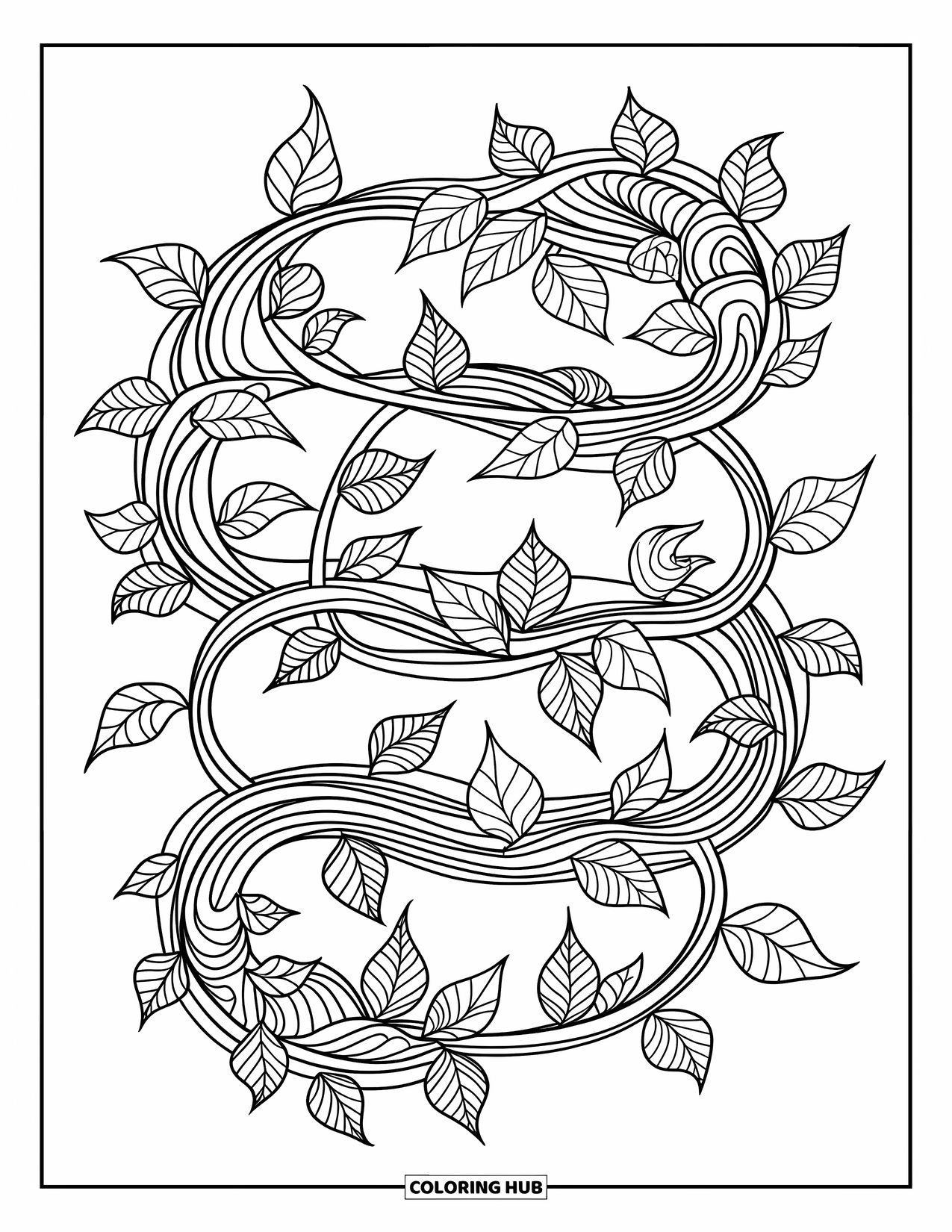 Dibujo de plantas para colorear para adultos: Enredaderas con hojas de hiedra, potos y eucalipto tejen un diseño fluido