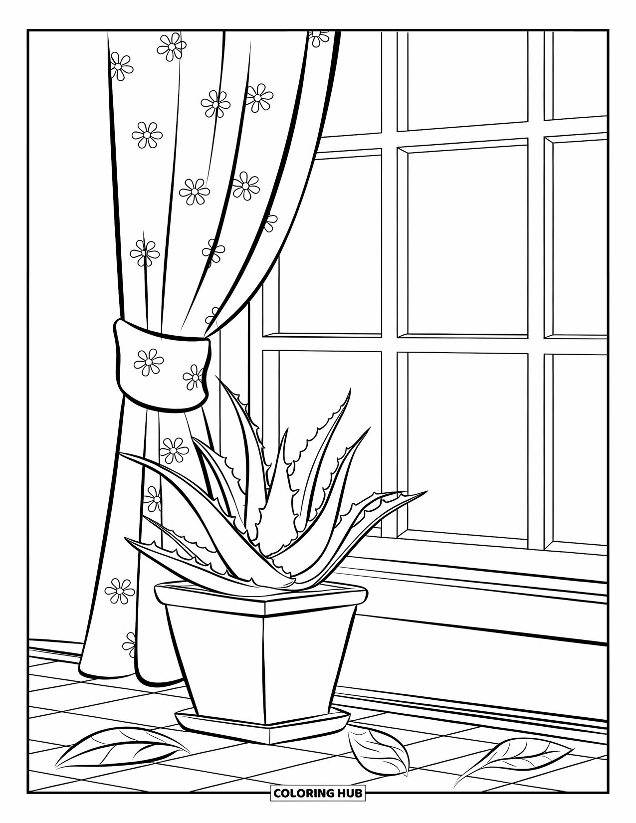 Dibujo de plantas para colorear para niños: Una planta de aloe robusta se sienta junto a una ventana con cortinas estampadas