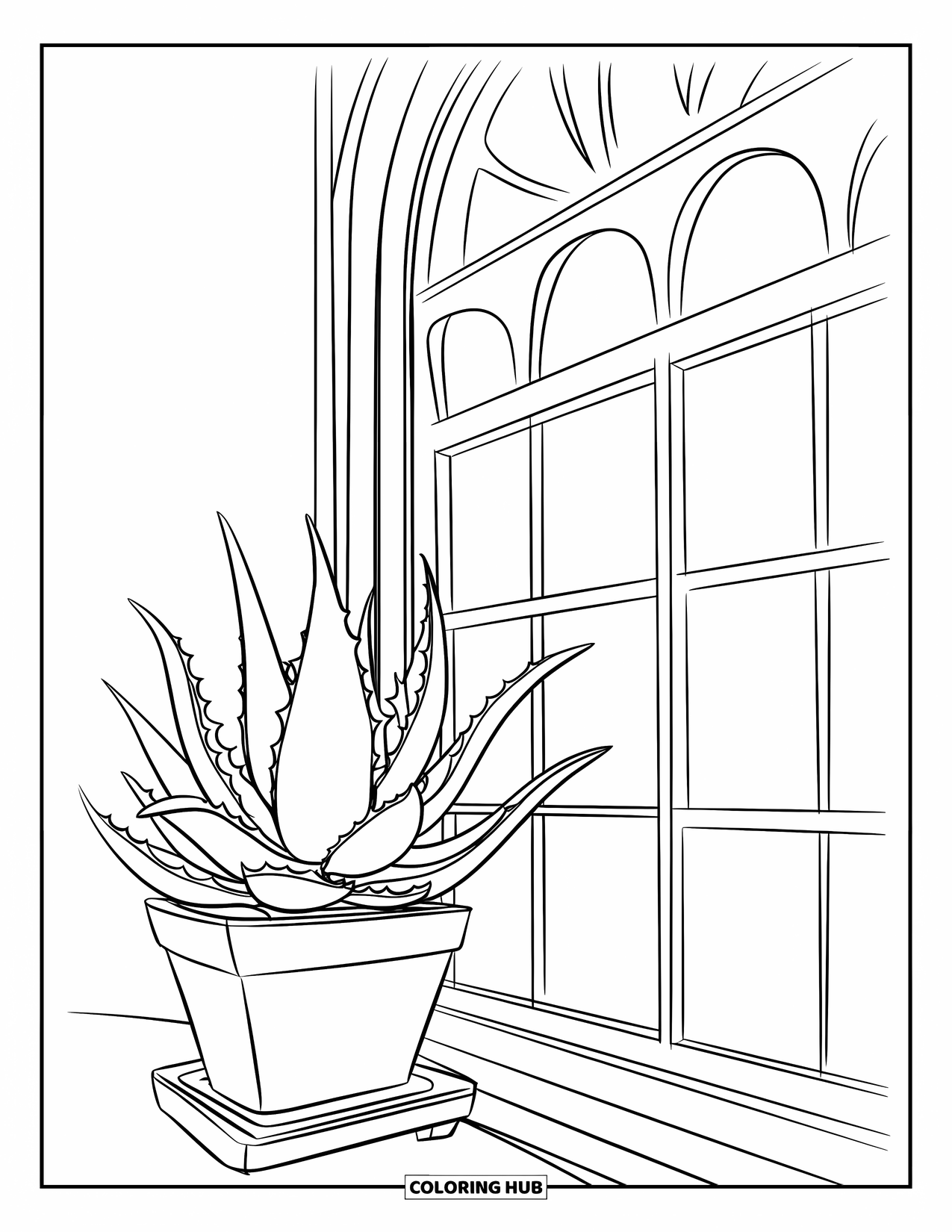 Dibujo de plantas para colorear para niños: Un aloe vera robusto se sienta en una maceta junto a una ventana soleada