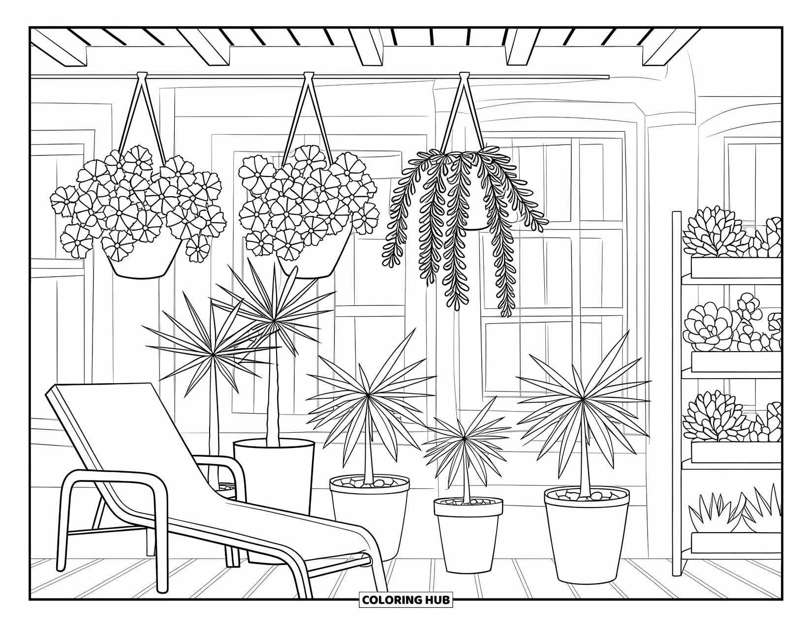 Dibujo de plantas para colorear para niños: Un patio acogedor con cestas colgantes, palmeras y un estante lleno de suculentas