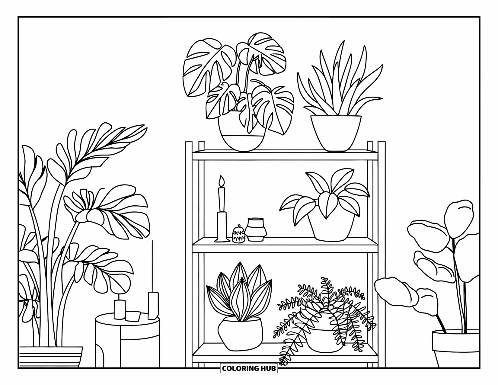 Dibujo de plantas para colorear para niños: Un estante acogedor muestra cinco plantas de interior, una vela y una maceta pequeña