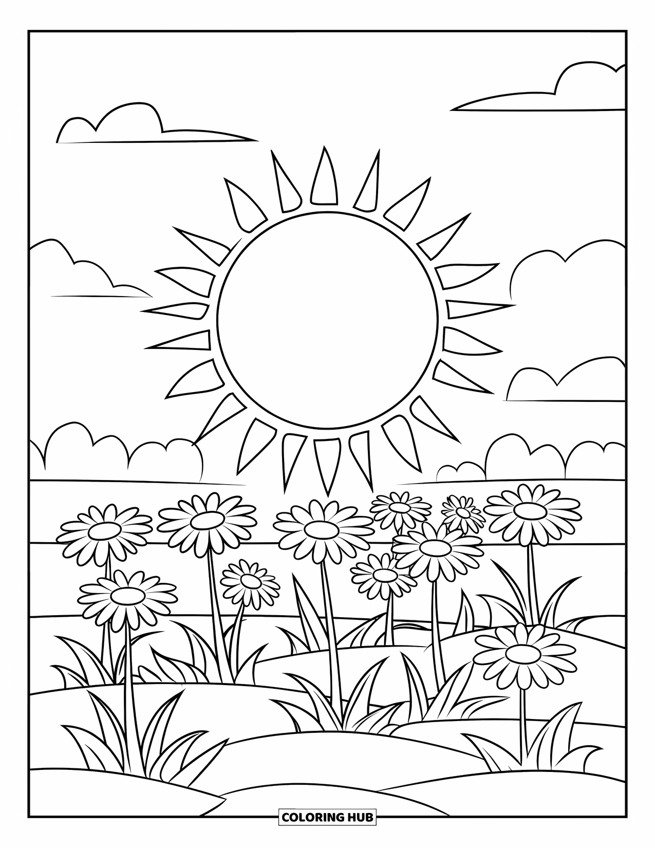 Dibujo de plantas para colorear para niños: Un campo de margaritas crece bajo el sol brillante