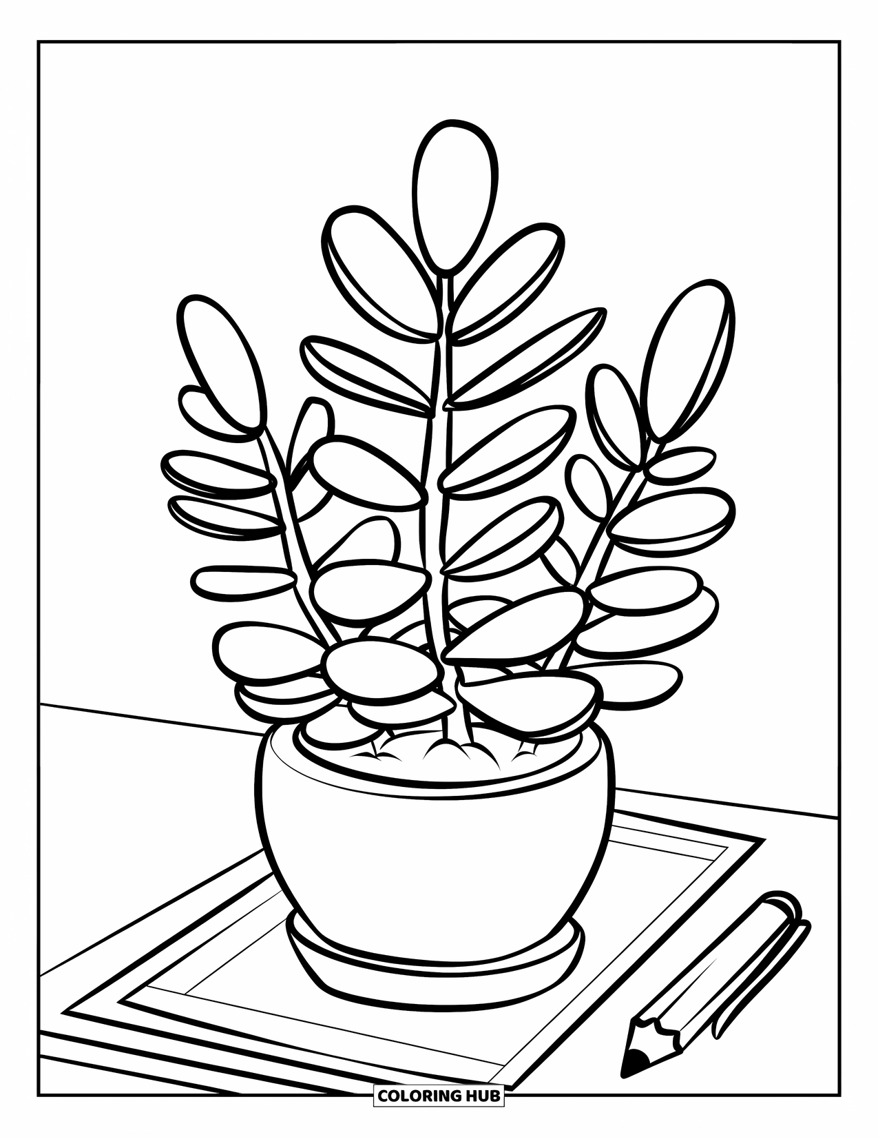 Dibujo de plantas para colorear para niños: Una planta de jade y un lápiz se sientan en un escritorio pequeño y ordenado