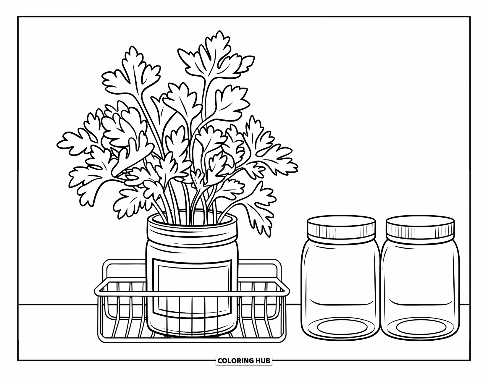 Dibujo de plantas para colorear para niños: Un frasco etiquetado de perejil se sienta en un pequeño estante de hierbas de interior