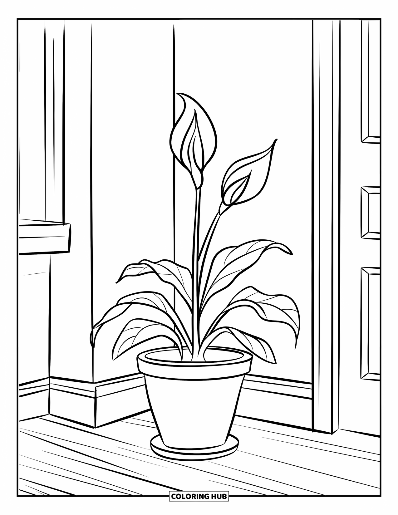 Dibujo de plantas para colorear para niños: Una flor de lis en una maceta se sienta con calma en una esquina tranquila