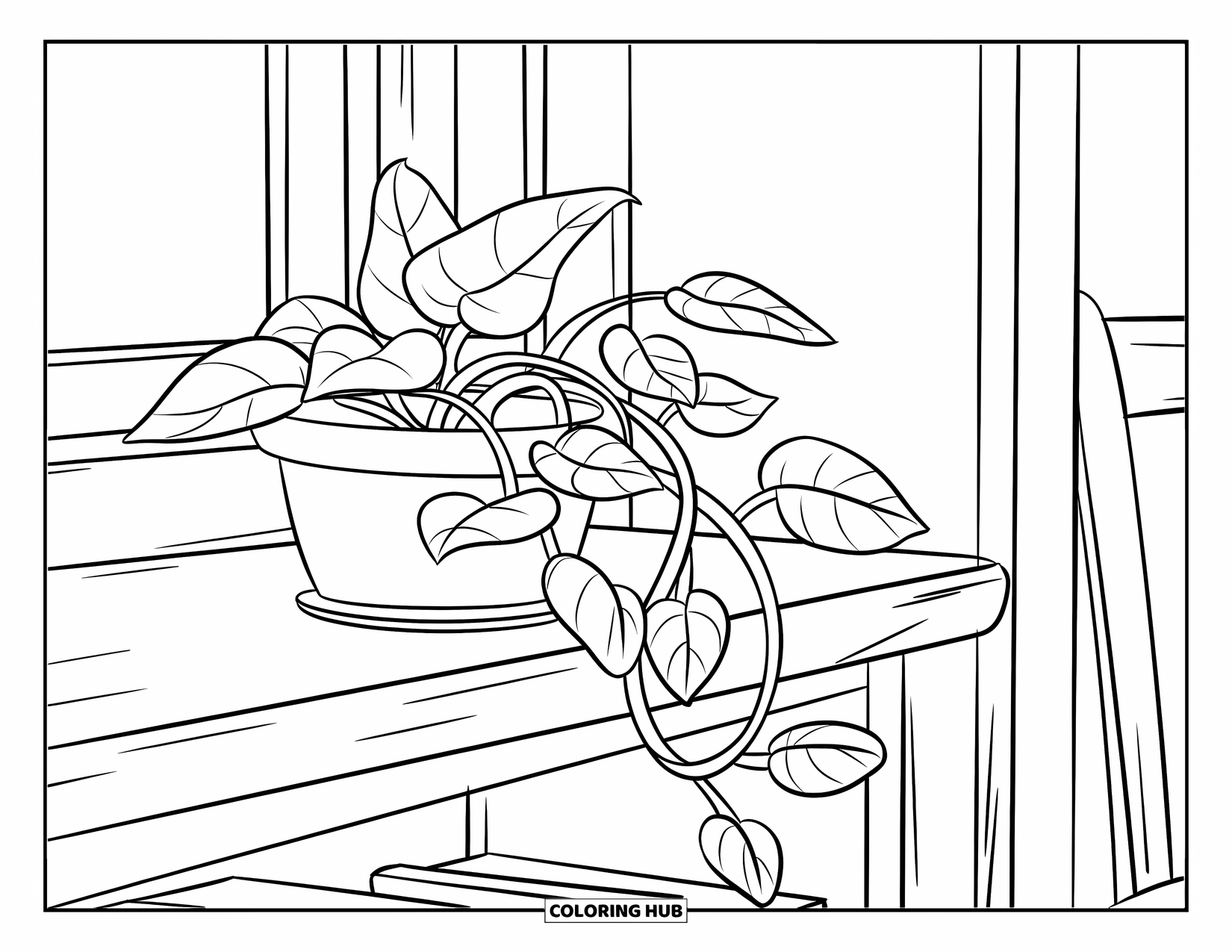 Dibujo de plantas para colorear para niños: Una planta de potos con hojas grandes se enrosca a través de una estantería rústica