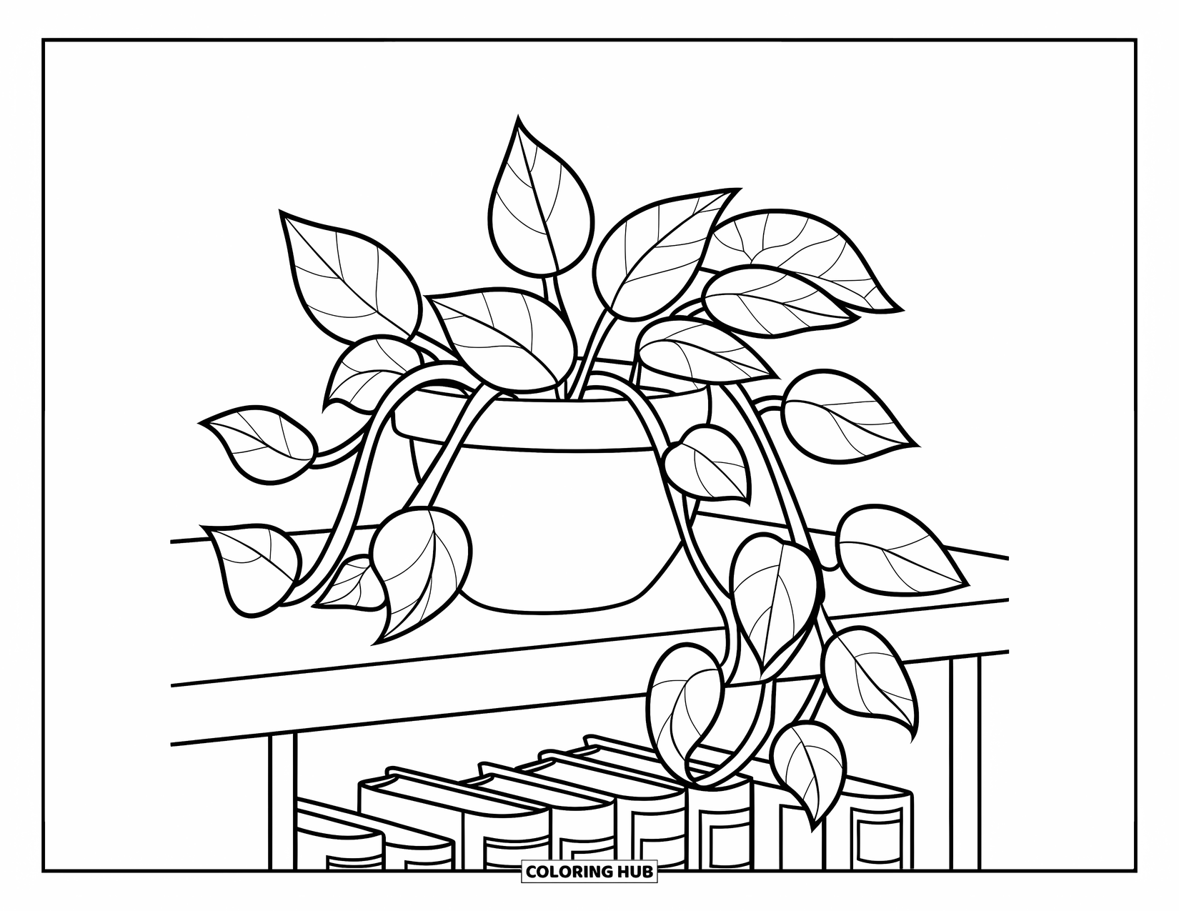 Dibujo de plantas para colorear para niños: Un potos con enredaderas rizadas se sienta en una estantería acogedora