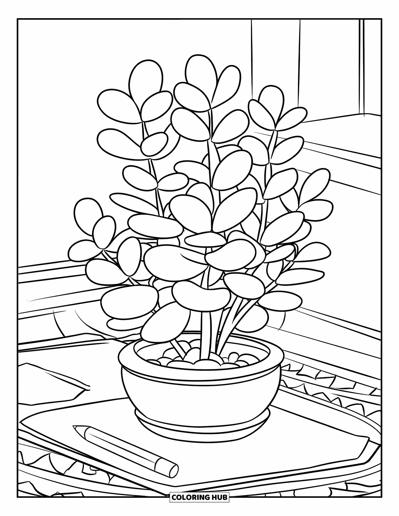 Dibujo de plantas para colorear para niños: Una maceta redonda con planta de jade descansa sobre un escritorio para hacer la tarea