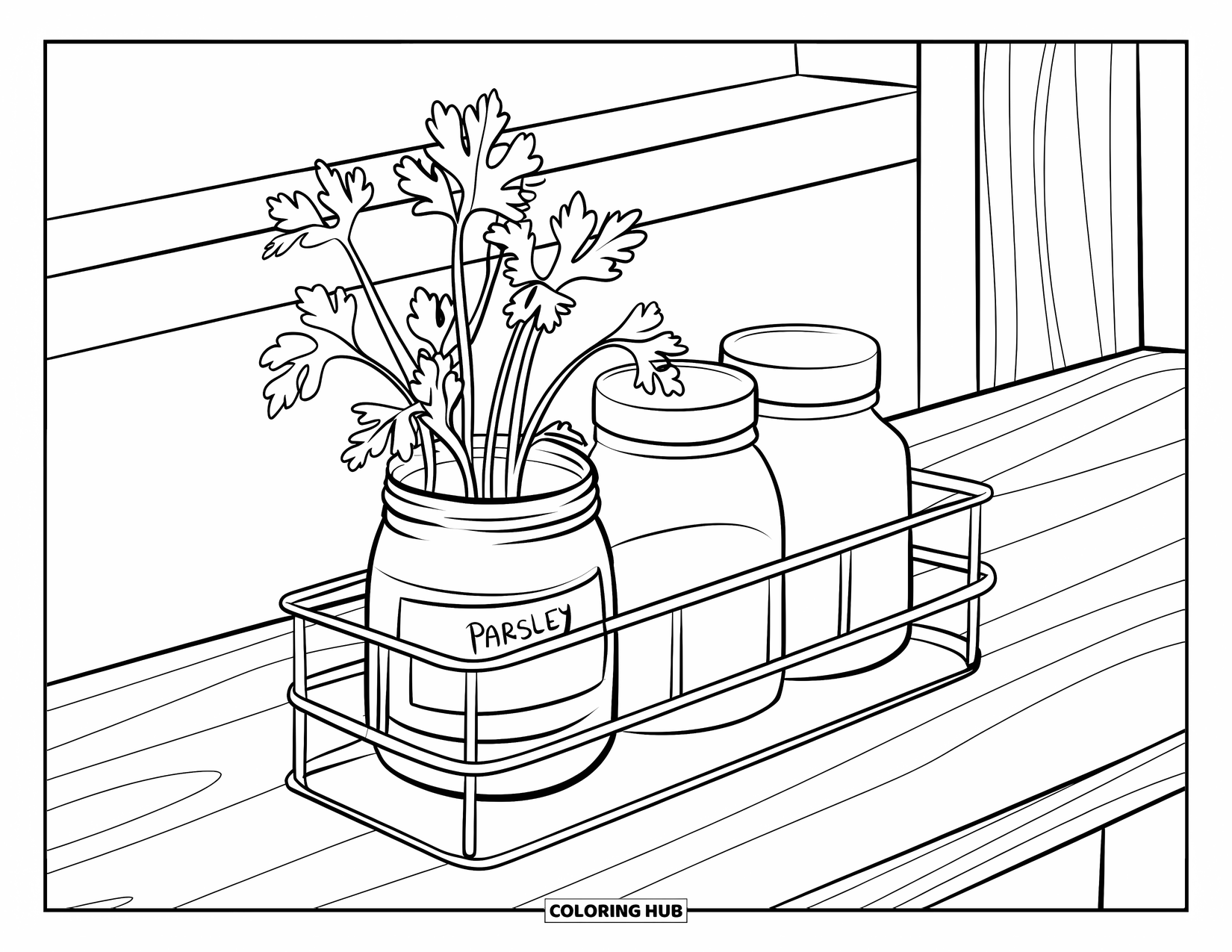 Dibujo de plantas para colorear para niños: Una planta pequeña de perejil crece en un frasco en un estante de hierbas de interior simple