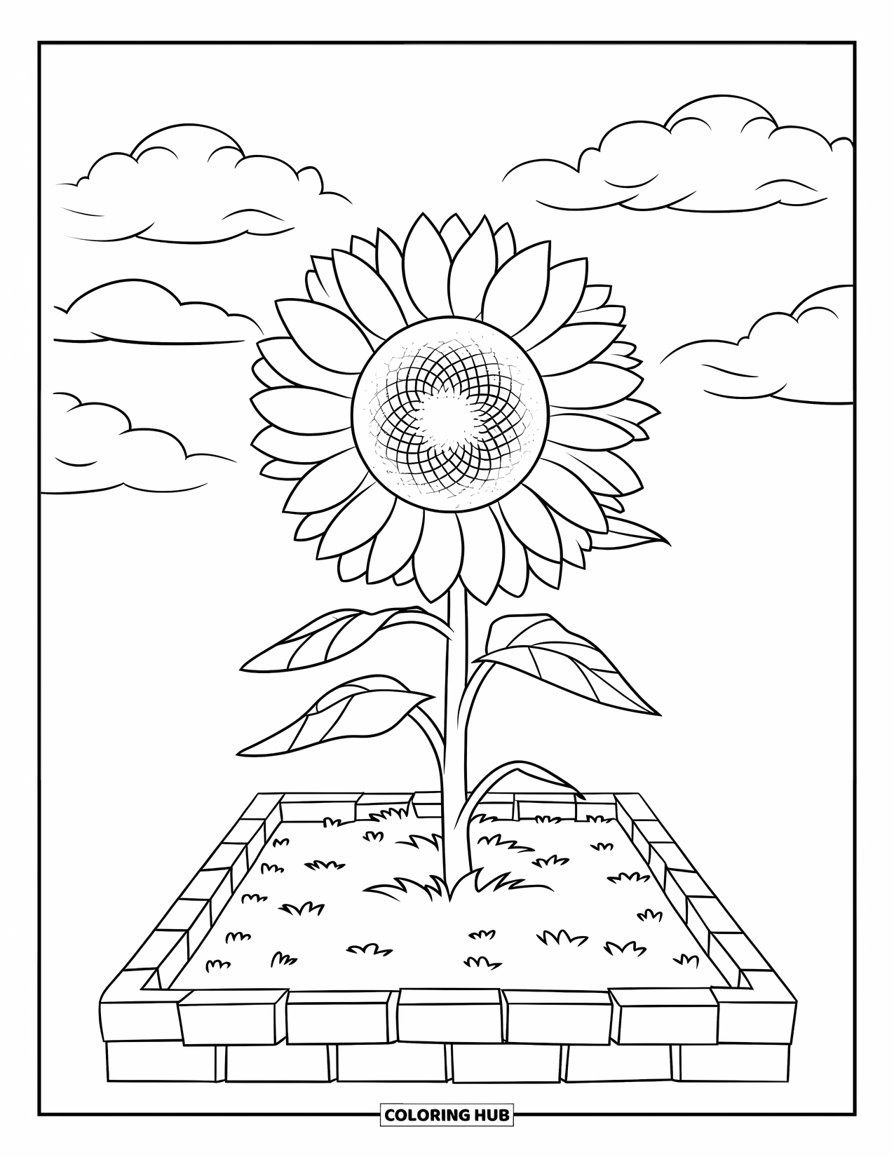 Dibujo de plantas para colorear para niños: Un girasol con pétalos grandes se alza alto en un jardín soleado