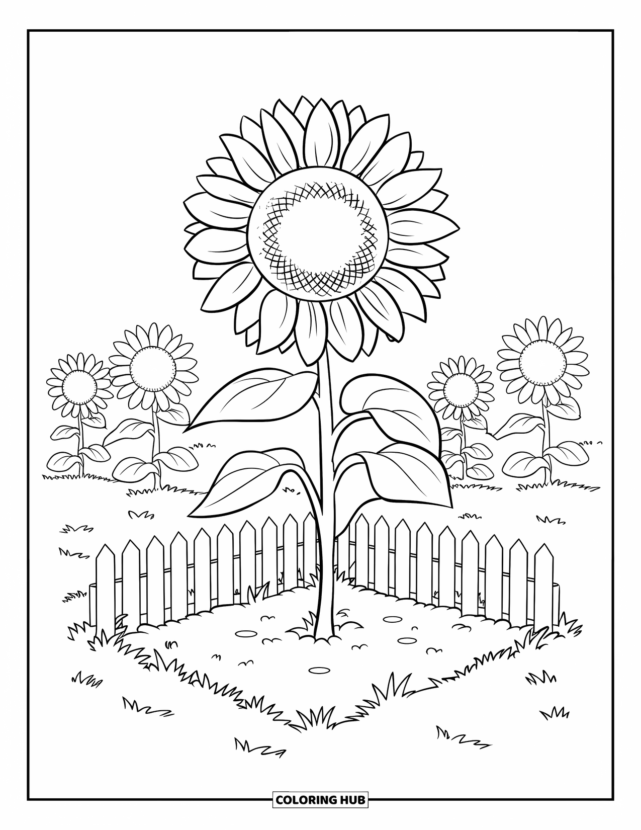 Dibujo de plantas para colorear para niños: Un girasol alto con pétalos grandes crece desde un huerto