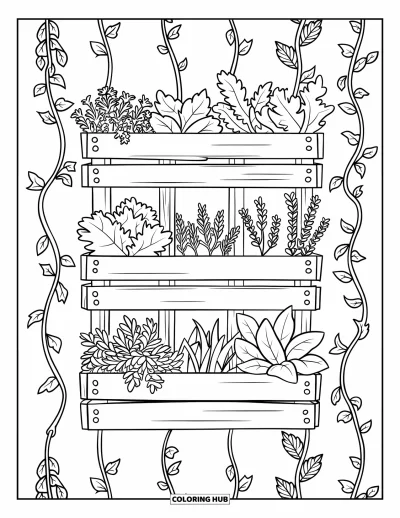 Plant Coloring Page for Kids: A wall garden of herbs like thyme and parsley grows in neat wooden crates