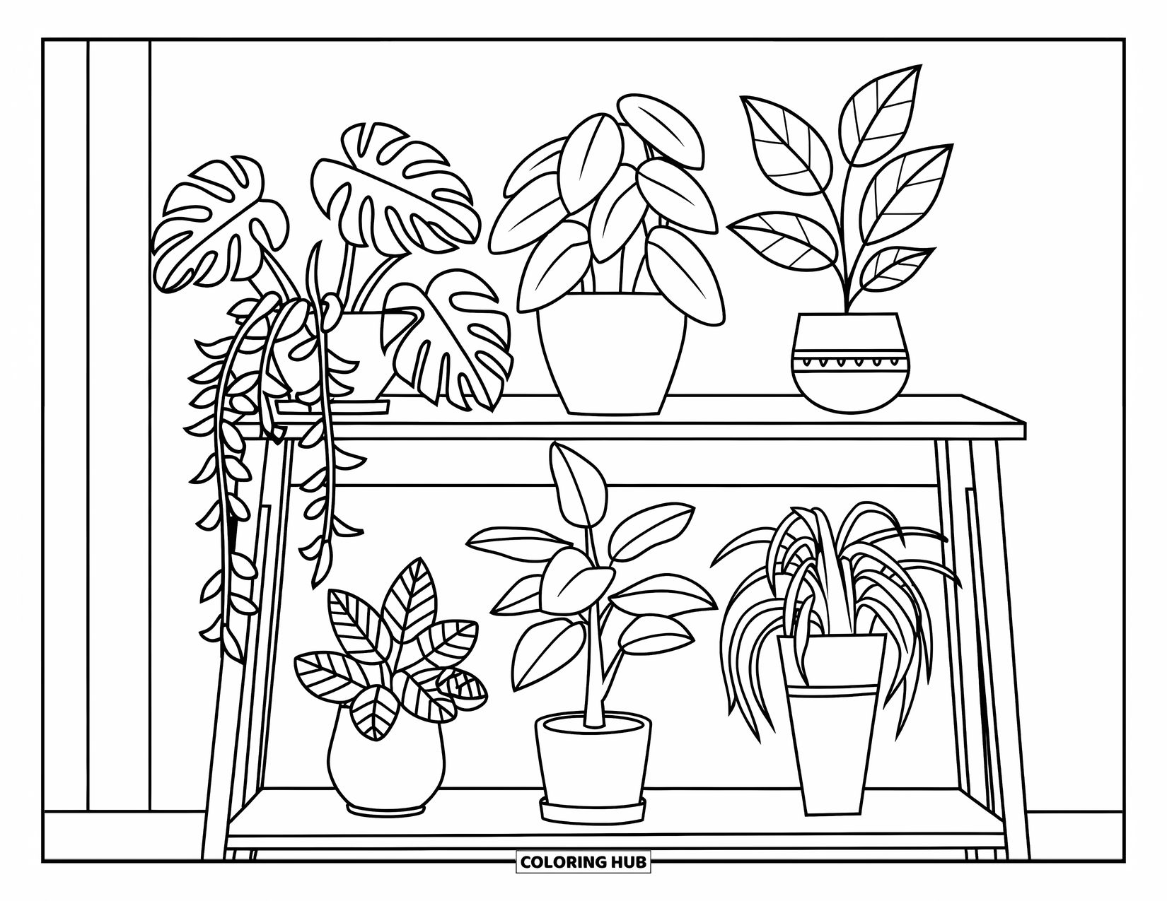 Dibujo de plantas para colorear para niños: Un estante de madera sostiene cinco plantas de interior lindas en macetas elegantes