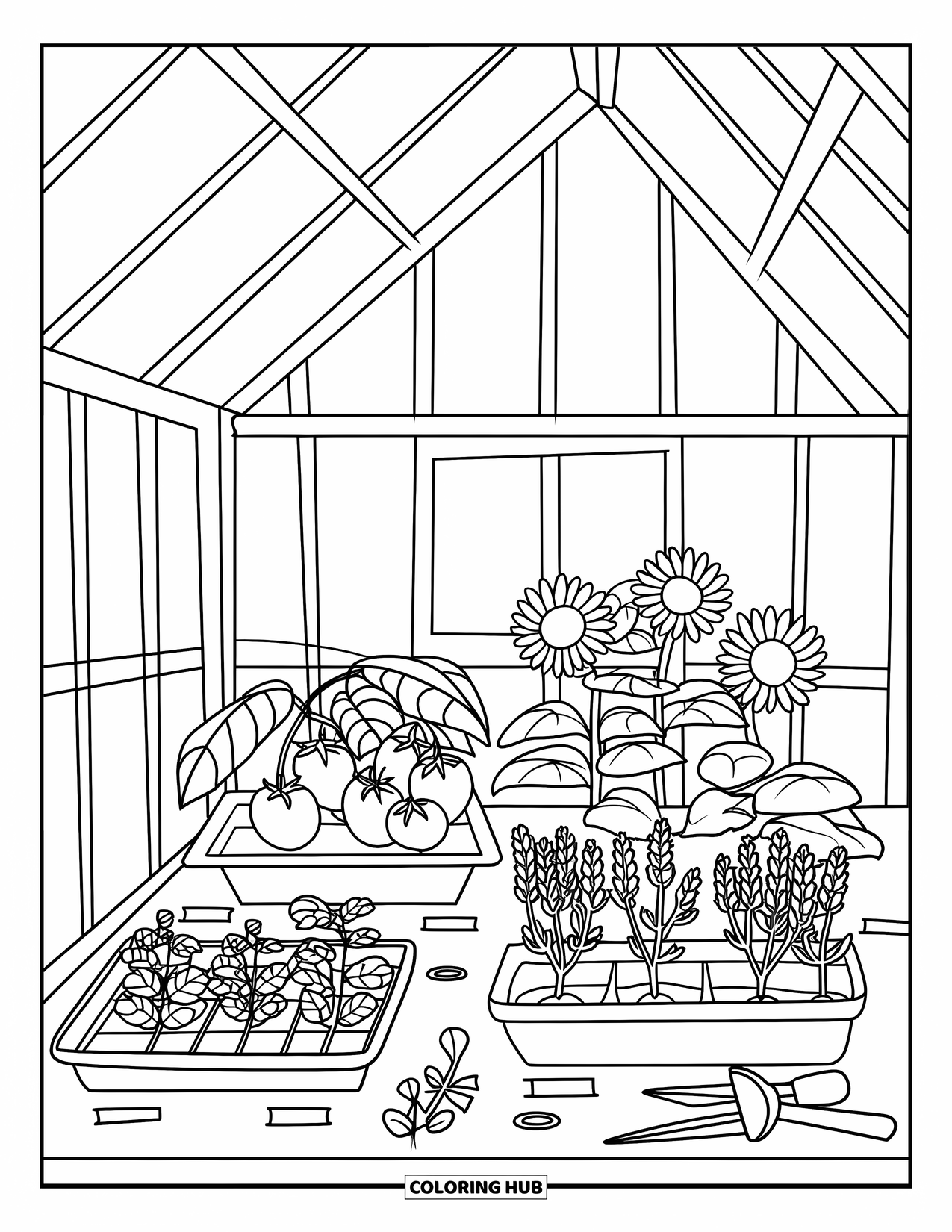 Dibujo de plantas para colorear para niños: Dentro de un invernadero, una mesa de macetas sostiene bandejas de plántulas y herramientas de jardín