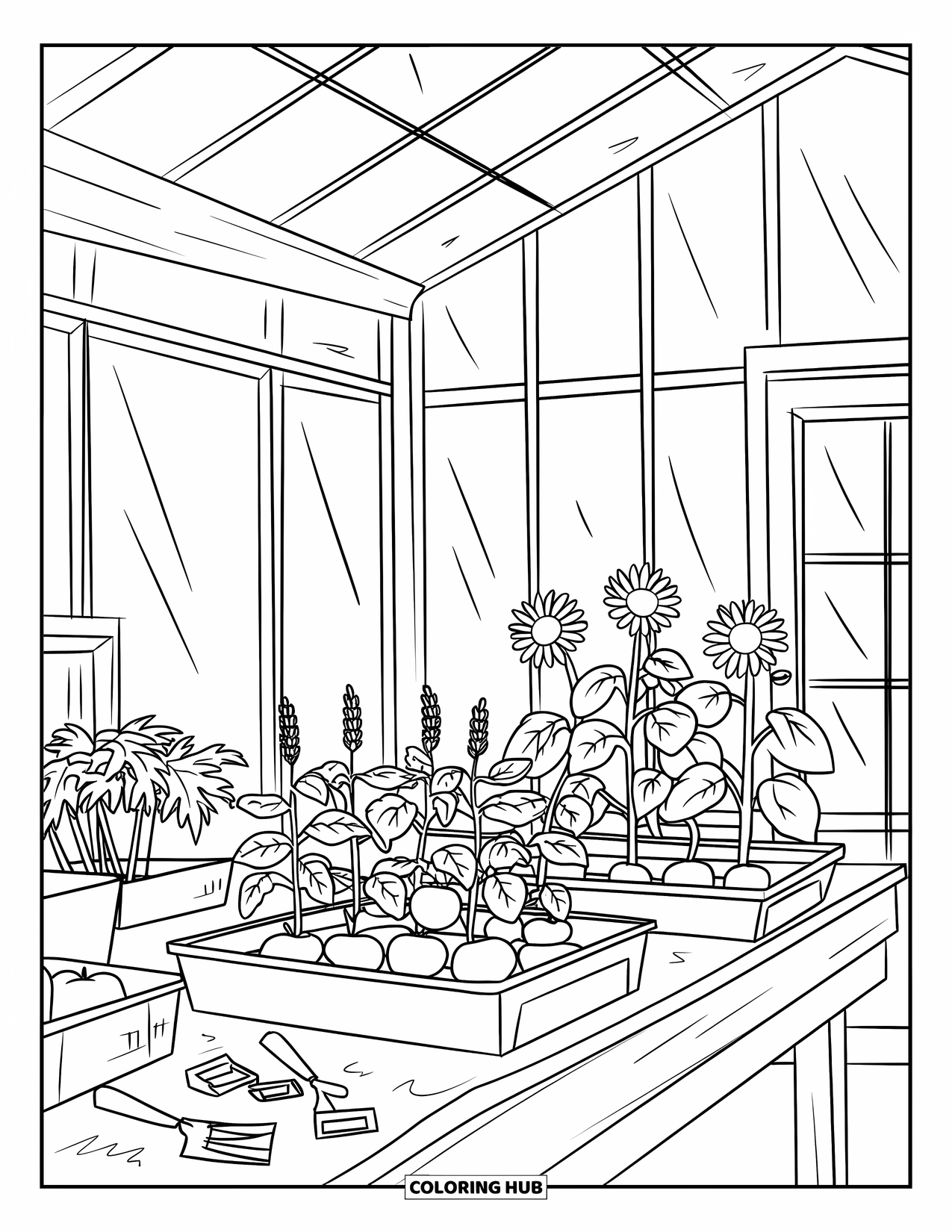 Dibujo de plantas para colorear para niños: Plántulas y herramientas se sientan en una mesa de macetas dentro de un invernadero acogedor