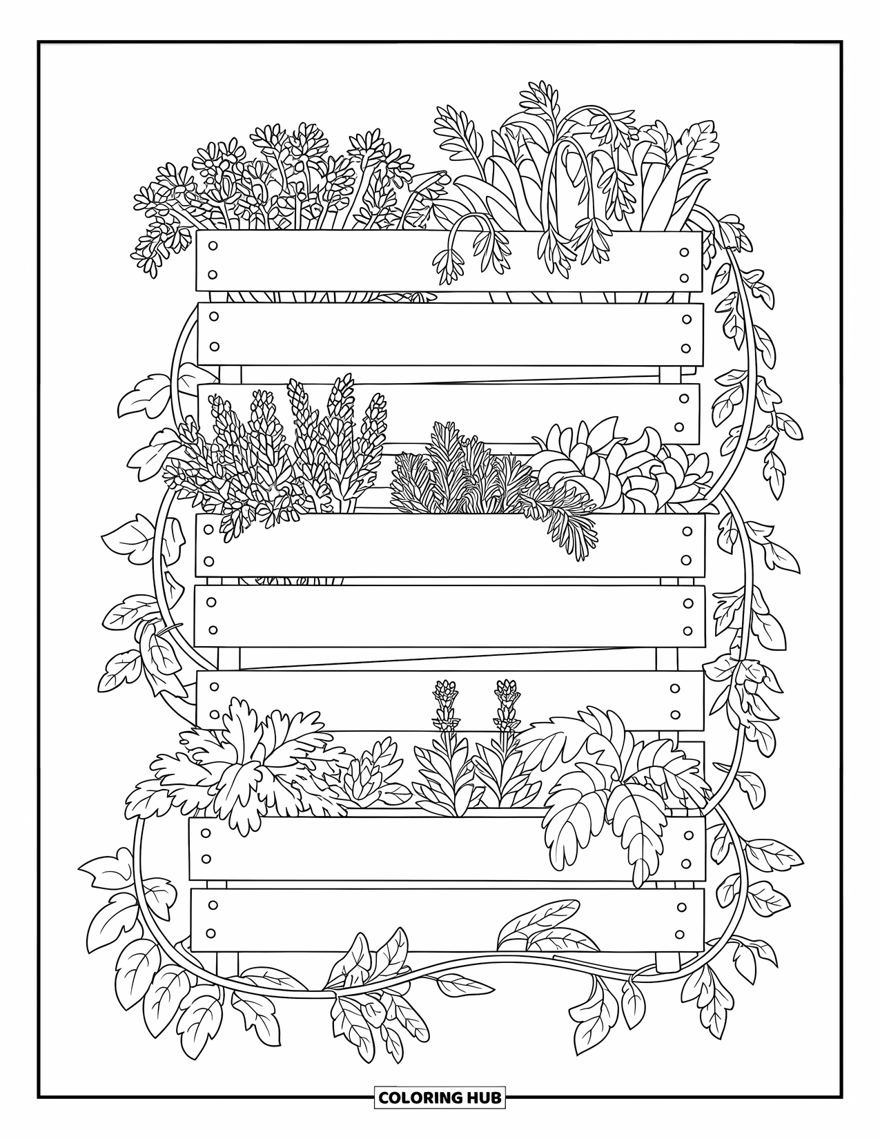 Dibujo de plantas para colorear para niños: Cajas apiladas llenas de hierbas aromáticas dejan caer enredaderas por una pared de jardín brillante